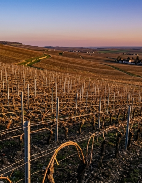 Gemini_Generated_Image_yq5huhyq5huhyq5h